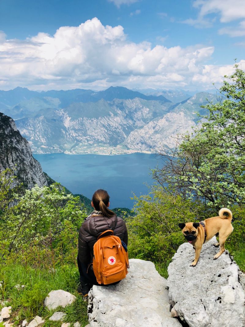 Urlaub mit Hund. Gardasee mit Hund. urlaub in Italien mit Hund